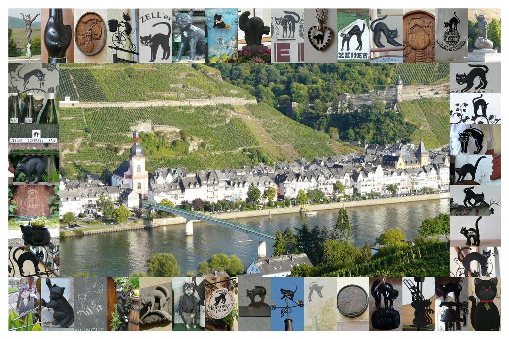 B&B Pension Winzerhaus Zell-Mosel Eksteriør billede