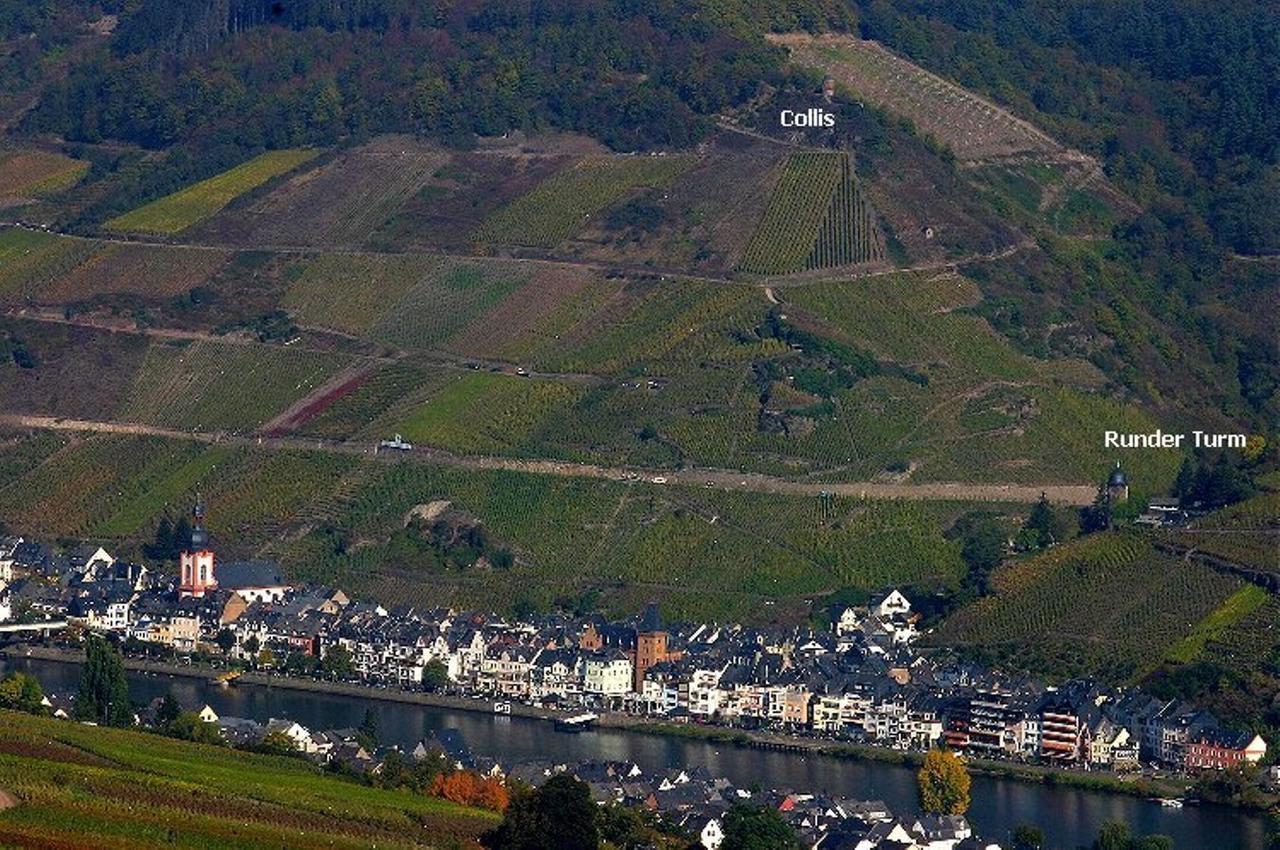 B&B Pension Winzerhaus Zell-Mosel Eksteriør billede